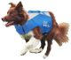 ALL FOR PAWS  Chill Out Lifejacket Medium - For Dogs 55-86lbs
