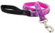 Lupine High Lights 1in Pink-Paws 6ft Leash