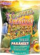 BROWNS Tropical Carnival Gourmet Parakeet Food 2lb
