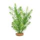 FLUVAL Aqua Life Plant Scapes Green Myriophyllum Plant 10in