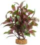 FLUVAL Aqua Life Plant Scapes Broad Leaf Red Ludwigia Plant 8in