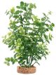 FLUVAL Aqua Life Plant Scapes Green Bacopa Plant 8in