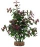 FLUVAL Aqua Life Plant Scapes Red Bacopa Plant 8in