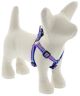 Lupine Ripple Creek Step-in Harness 1/2in wide x 10-13in