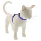 Lupine Ripple Creek Cat H-Harness 1/2in wide x 12-20in