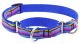 Lupine Ripple Creek Combo Collar 3/4in wide x  10-14in