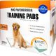 No Worries Training Pads 22in x 22in 100pk