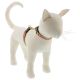 LUPINE Petunias Cat H-Harness 1/2in wide x 9-14in