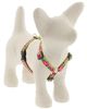 LUPINE Petunias Roman Harness 1/2in wide x 9-14in