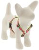 LUPINE Petunias Roman Harness 1/2in wide x 12-20in