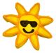 TAJ MA HOUND Mr. Sun Cookie