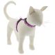 LUPINE Rose Garden Cat H-Harness 1/2in wide x 12-20in