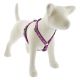 LUPINE Rose Garden Roman Harness 3/4in wide x 20-32in