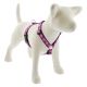 LUPINE Rose Garden Roman Harness 1in wide x 20-32in