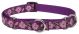 LUPINE Rose Garden Combo Collar 3/4in wide x  10-14in