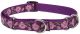 LUPINE Rose Garden Combo Collar 3/4in wide x 14-20in