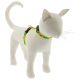 LUPINE Sunflowers Cat H-Harness 1/2in wide x 12-20in