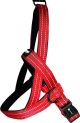ALCOTT Norwegian Harness Large Red