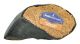 BARKWORTHIES Bootie with Peanut Butter Blend Hoof 4in