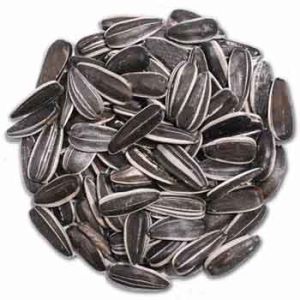 Shafer Striped Sunflower Seed 20LB