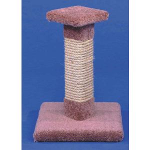 Kitty Cactus with Sisal 18 inch