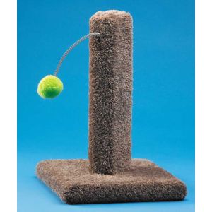 Kitty Cactus with Pom Pom 16 inch