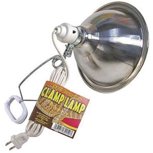 Repti Economy Clamp Lamp 8.5 Inch