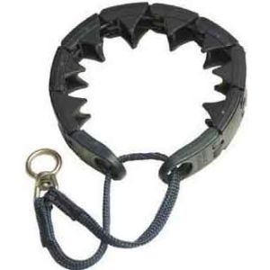 Pro Training Collar Large 21in