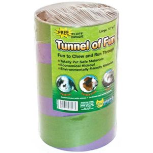 Tunnel of Fun Large