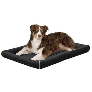 Quiet Time Maxx Bed Black - 48 inch